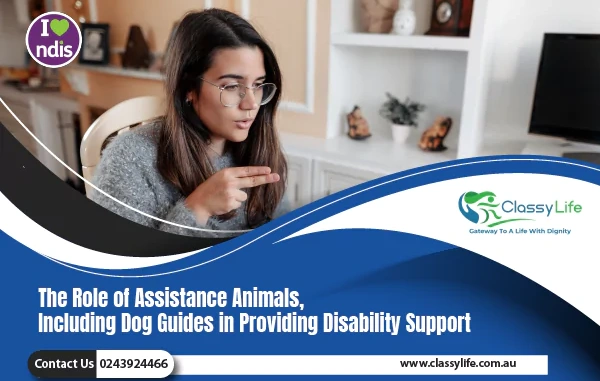 Navigating Supported Independent Living in Sydney: Finding the Right Provider
