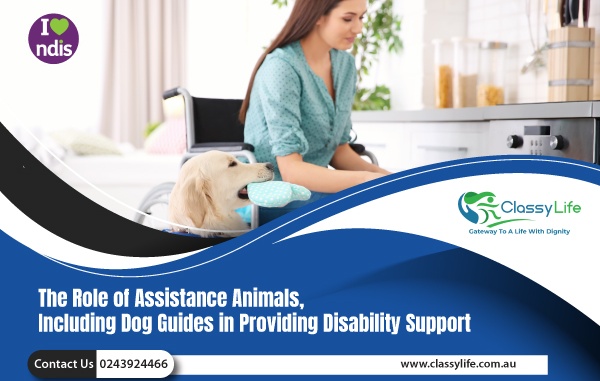 The Role of Assistance Animals, Including Dog Guides in Providing Disability Support