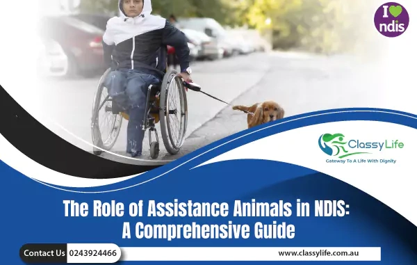 The Role Of Assistance Animals In NDIS: A Comprehensive Guide